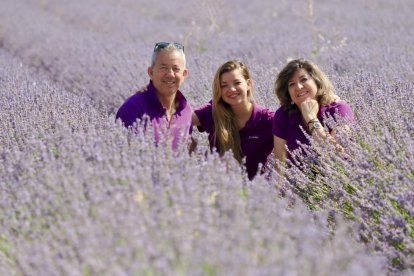 Campos de Lavanda en Tiedra. 