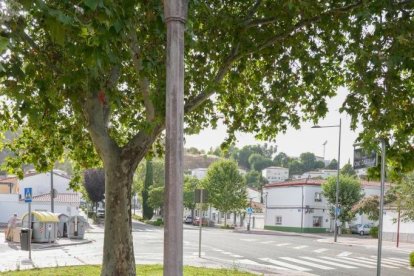 Fuste de farola Barrio Girón