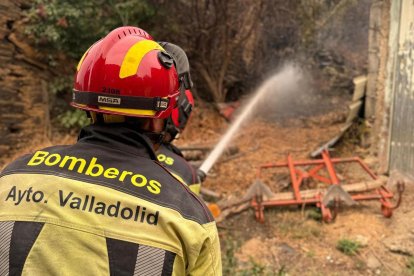 Participación de los bomberos de Valladolid en las labores de extindión de los incendios del Bierzo en León