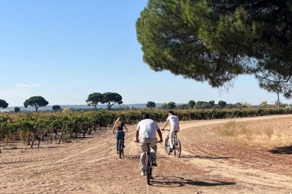 Paseo en bici de los invitados a la boda de Stella del Carmen