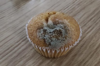 Denuncia por alimentos en mlal estado en la FP de la Santa Espina.