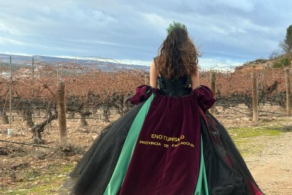 Una de las piezas que representan el patrimonio de la Diputación de Valladolid.