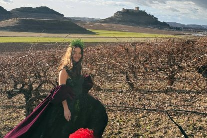 Una de las piezas que representan el patrimonio de la Diputación de Valladolid.
