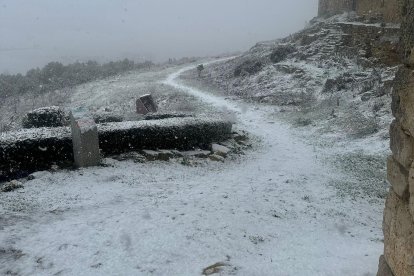 Imagenes de la nevada en la provincia de Valladolid