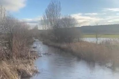 El río Esgueva a su paso por Villanueva de los Infantes en Valladolid.