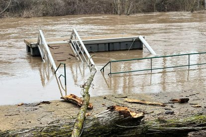 Desborde del río Duero en Quintanilla de Onésimo