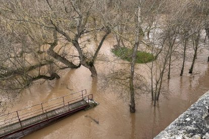 Desborde del río Duero en Quintanilla de Onésimo