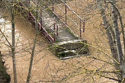 Desborde del río Duero en Quintanilla de Onésimo