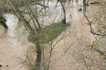 Desborde del río Duero en Quintanilla de Onésimo