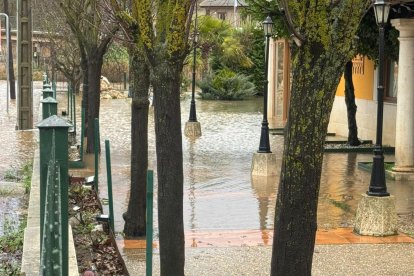 Inundaciones por la crecida del Duero en Tordesillas