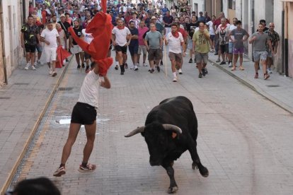 Encierro y capea de Peñafiel.