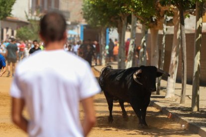 Encierro en Serrada (Valladolid)