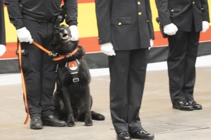 Acto de celebración del Día de la Policía Nacional