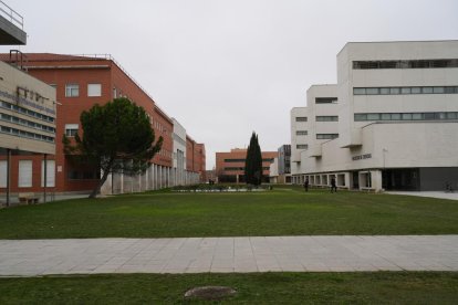 Campus universitario Miguel Delibes en Barrio Belén. - J.M. LOSTAU