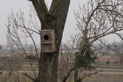 Reserva biológica urbana 'El Tomillo' en Barrio Belén. - J.M. LOSTAU