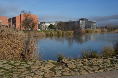 Lago entre el apeadero y el Campus Miguel Delibes en Barrio Belén. - J.M. LOSTAU