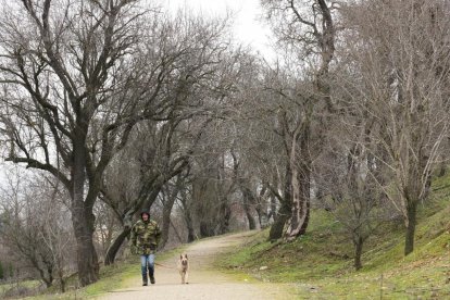 Reserva biológica urbana 'El Tomillo' en Barrio Belén. - J.M. LOSTAU