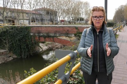 Los vecinos del Paseo del Cauce denuncian la plaga de ratas. J.M. LOSTAU