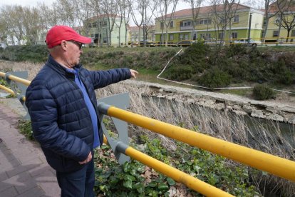 Los vecinos del Paseo del Cauce denuncian la plaga de ratas. J.M. LOSTAU