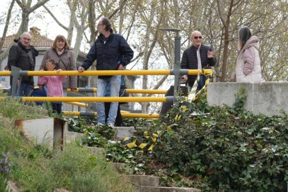 Los vecinos del Paseo del Cauce denuncian la plaga de ratas. J.M. LOSTAU