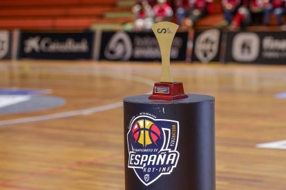 Final del Campeonato de España infantil femenino coronando a Castilla y León como campeona. / FEB