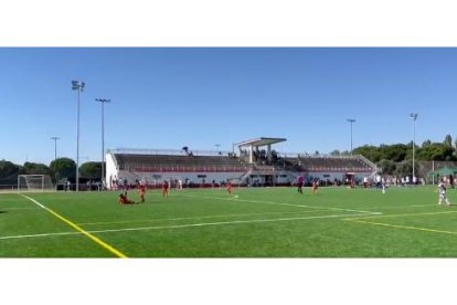 Campo de Los Pinos de Simancas donde sucedió la agresión. / EM