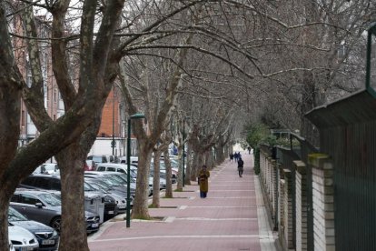 Barrio del Hospital.   Calle Doctor Ochoa. - JUAN MIGUEL LOSTAU