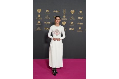 Alfombra roja de la 38 edición de los Premios Goya en Valladolid. -ICAL
