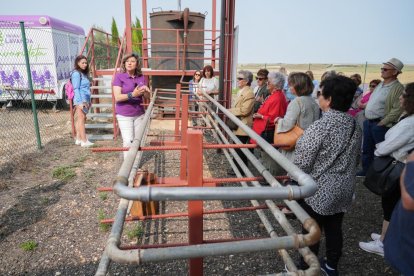 Campos de lavanda y centro de interpretación en la localidad vallisoletana de Tiedra. M. LOSTAU