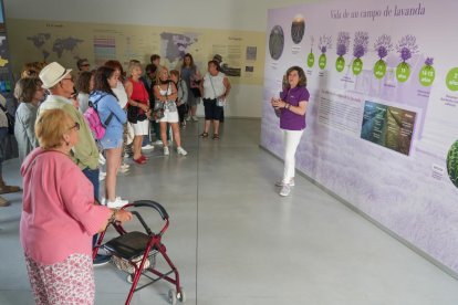 Campos de lavanda y centro de interpretación en la localidad vallisoletana de Tiedra. M. LOSTAU