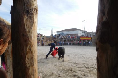 Corrida en las fiestas taurinas de Montemayor. C.M.