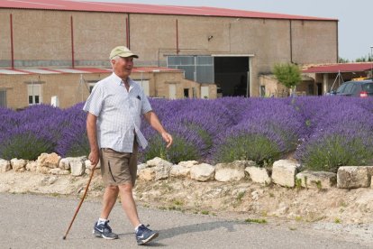 JUAN MIGUEL LOSTAU. 27/06/2023. VALLADOLID. Campos de lavanda y centro de interpretación en la localidad vallisoletana de Tiedra. M. LOSTAU