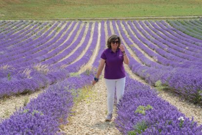 JUAN MIGUEL LOSTAU. 27/06/2023. VALLADOLID. Campos de lavanda y centro de interpretación en la localidad vallisoletana de Tiedra. M. LOSTAU