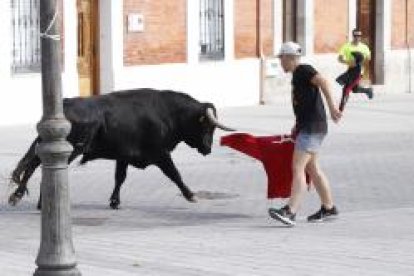 Encierro este domingo en Traspinedo. -PHOTOGENIC