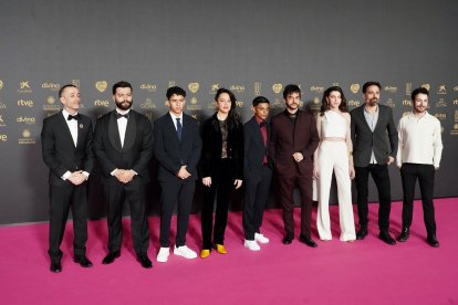 Alfombra roja de la 38 edición de los Premios Goya en Valladolid. -ICAL