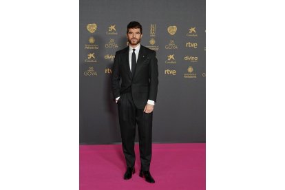 Alfombra roja de la 38 edición de los Premios Goya en Valladolid. -ICAL