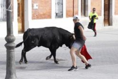 Encierro este domingo en Traspinedo. -PHOTOGENIC