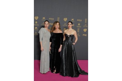Alfombra roja de la 38 edición de los Premios Goya en Valladolid. -ICAL
