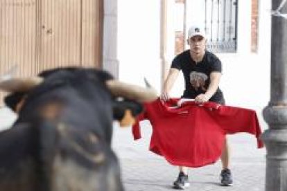 Encierro este domingo en Traspinedo.  -PHOTOGENIC