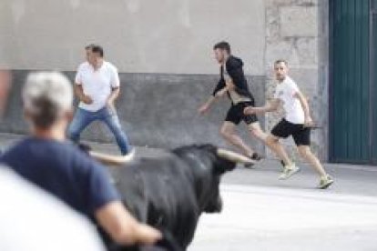 Encierro este domingo en Traspinedo. -PHOTOGENIC