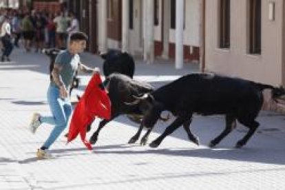 Encierro este domingo en Traspinedo. -PHOTOGENIC