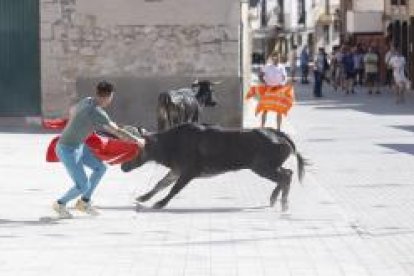 Encierro este domingo en Traspinedo. -PHOTOGENIC