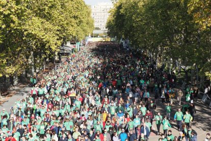 XI Marcha 'Valladolid contra el cáncer'.- PHOTOGENIC