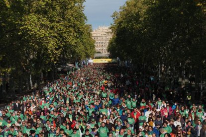 XI Marcha 'Valladolid contra el cáncer'.- PHOTOGENIC