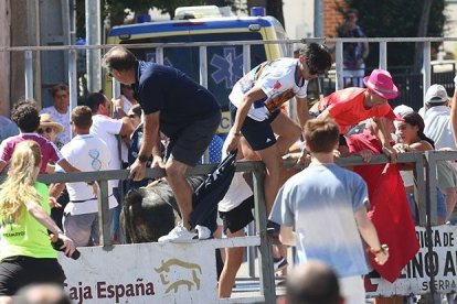 Toro que se escapó de un encierro de Serrada. -AYUNTAMIENTO SERRADA / JACINTO NAVAS