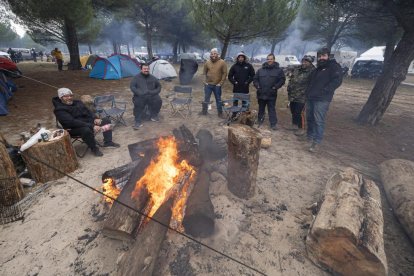 Segunda jornada de Motauros 2024 en la campa de Tordesillas. -PHOTOGENIC.