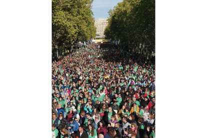 XI Marcha 'Valladolid contra el cáncer'.- PHOTOGENIC