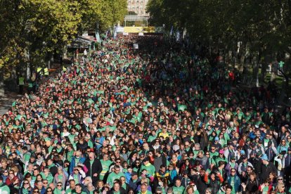 XI Marcha 'Valladolid contra el cáncer'.- PHOTOGENIC