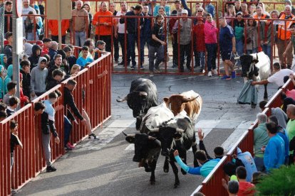 Encierro de las fiestas de la Flecha, Valladolid. Foto: Joaquín Rivas / Photogenic.