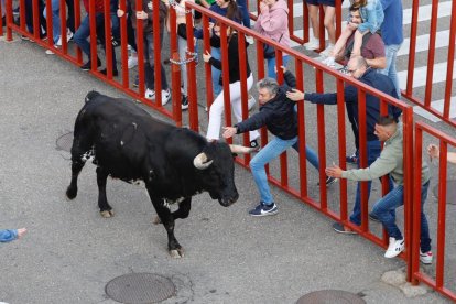 Encierro de las fiestas de la Flecha, Valladolid. Foto: Joaquín Rivas / Photogenic.